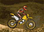 Motocross FMX flash spēle